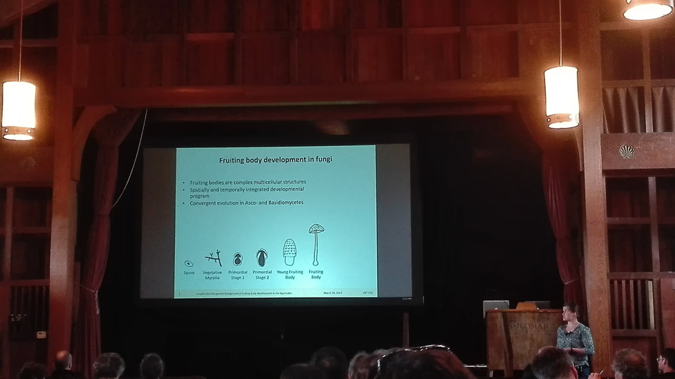 Krisztina Krizsán Speaks at Genetics Society of America Conference in California