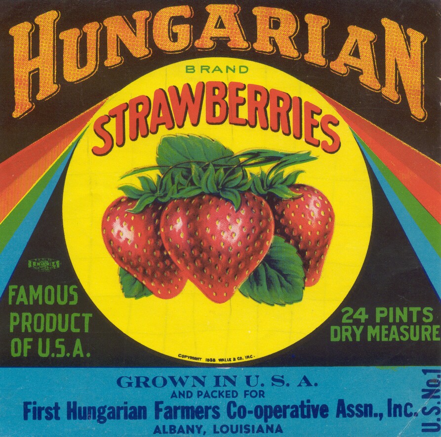 Exhibits at Largest Hungarian Rural Settlement in the South Will Get a Fresh New Look